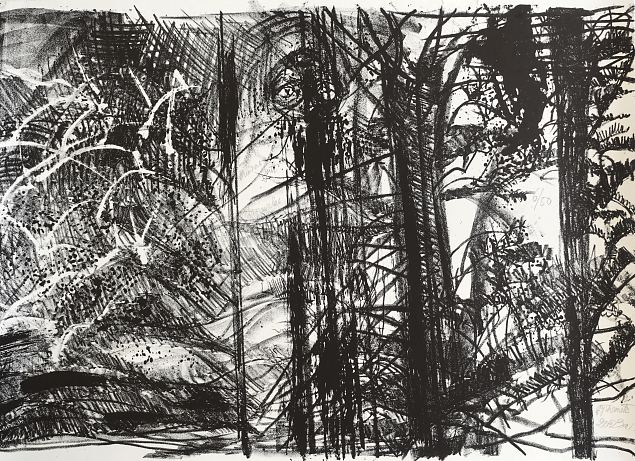 Muinasjutt Tapurlas, Evi Tihemets E-kunstisalongis