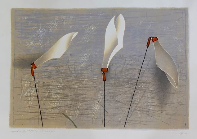 Valgustid XII, Sirje Eelma E-kunstisalongis