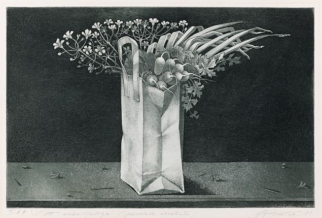 Kott aedviljadega, Kaisa Puustak E-kunstisalongis