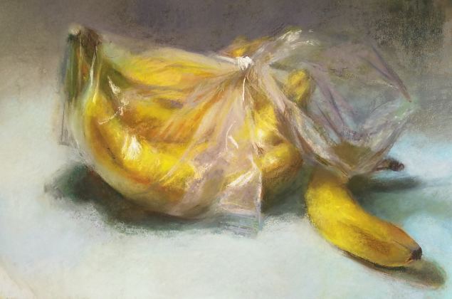 Banaanid kiles, Silja Salmistu E-kunstisalongis