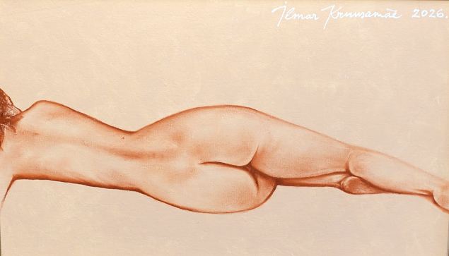 N-AINE, Ilmar Kruusam�e E-kunstisalongis