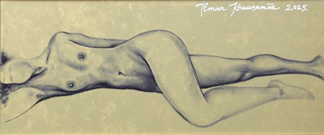 N-AINE, Ilmar Kruusam�e E-kunstisalongis