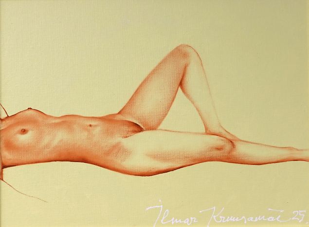N-AINE, Ilmar Kruusam�e E-kunstisalongis